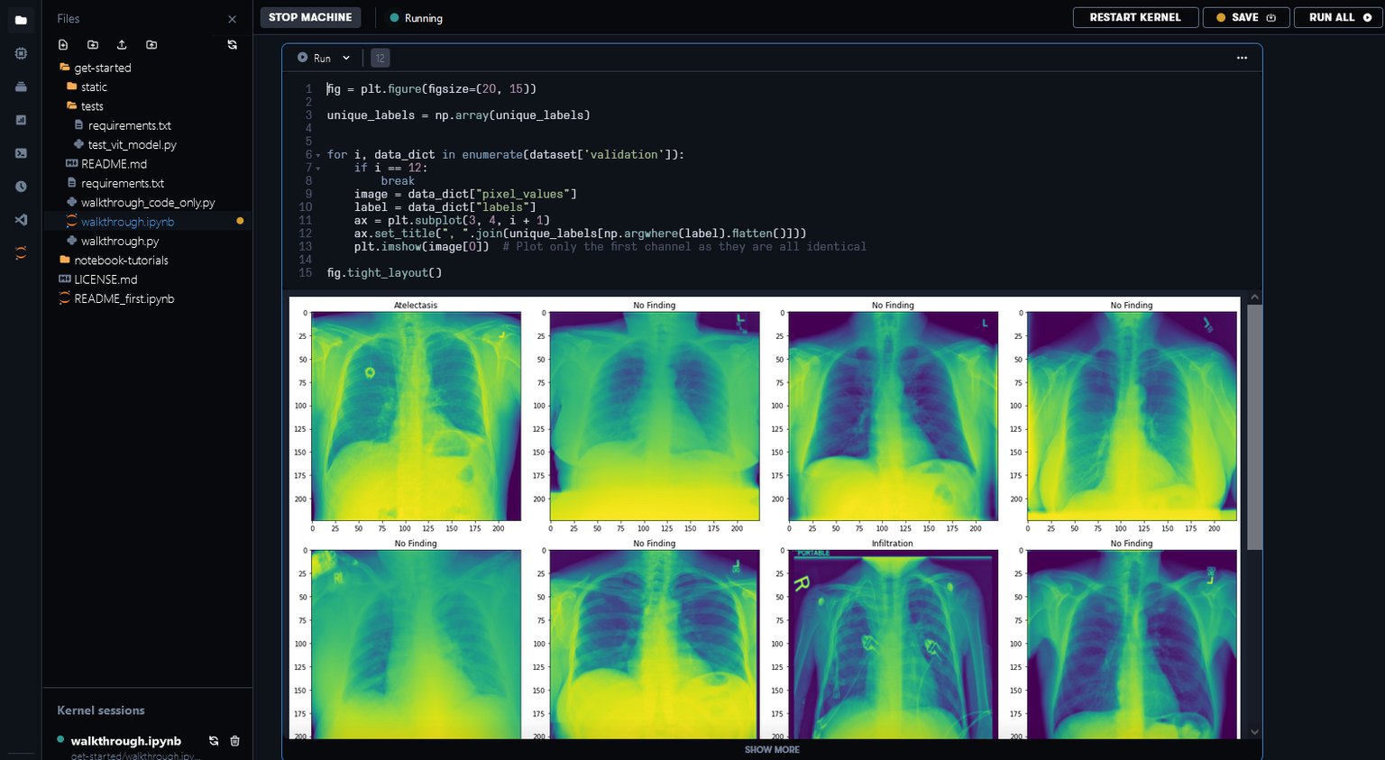 Getting started with IPUs on Paperspace